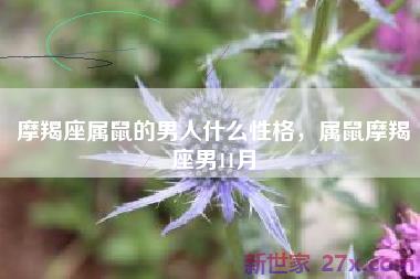 摩羯座属鼠的男人什么性格，属鼠摩羯座男11月