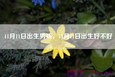 11月11日出生男孩，11月11日出生好不好