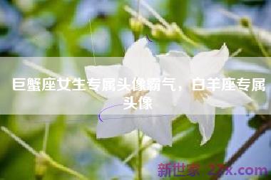 巨蟹座女生专属头像霸气，白羊座专属头像