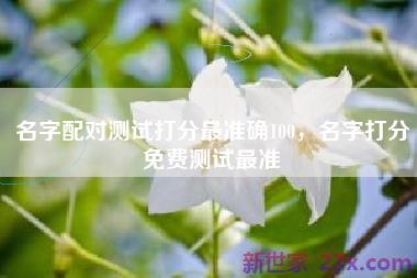 名字配对测试打分最准确100，名字打分免费测试最准