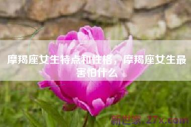 摩羯座女生特点和性格，摩羯座女生最害怕什么