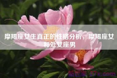 摩羯座女生真正的性格分析，摩羯座女和处女座男