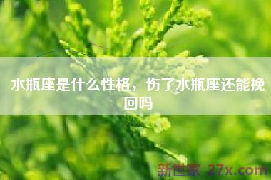 水瓶座是什么性格，伤了水瓶座还能挽回吗