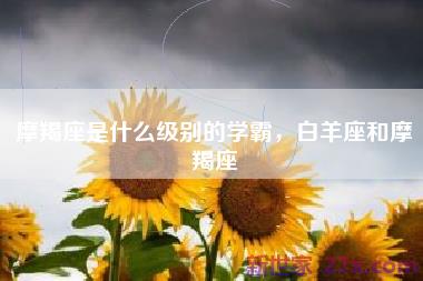 摩羯座是什么级别的学霸，白羊座和摩羯座