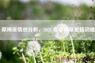 摩羯座情感分析，2022 年摩羯座爱情劫难