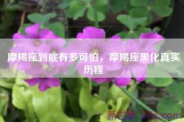 摩羯座到底有多可怕，摩羯座黑化真实历程