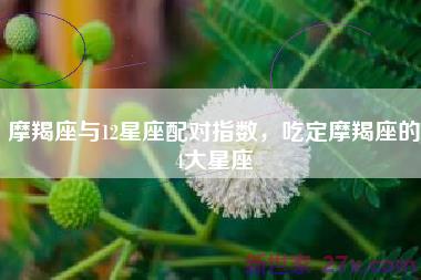 摩羯座与12星座配对指数，吃定摩羯座的4大星座