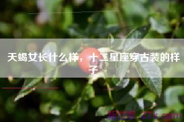 天蝎女长什么样，十二星座穿古装的样子