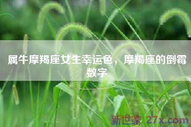 属牛摩羯座女生幸运色，摩羯座的倒霉数字