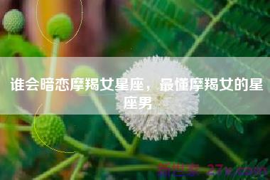 谁会暗恋摩羯女星座，最懂摩羯女的星座男