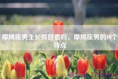 摩羯座男生长得好看吗，摩羯座男的10个特点