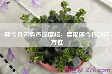 座今日运势查询摩羯，摩羯座今日财运方位