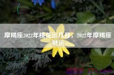 摩羯座2022年桃花运几月，2022年摩羯座财运