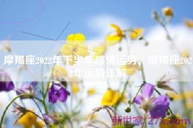 摩羯座2022年下半年感情运势，摩羯座2022年运势详解