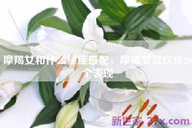 摩羯女和什么星座最配，摩羯女喜欢你20个表现