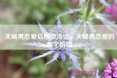 天蝎男恋爱后期很冷淡，天蝎男恋爱的各个阶段