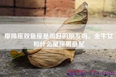 摩羯座双鱼座是很好的朋友吗，金牛女和什么星座男最配