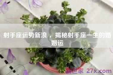 射手座运势新浪 ，揭秘射手座一生的婚姻运