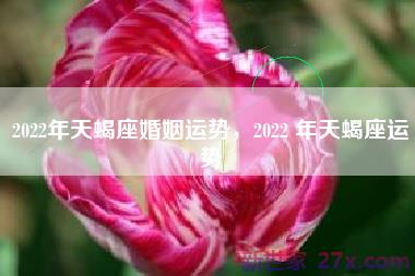 2022年天蝎座婚姻运势，2022 年天蝎座运势