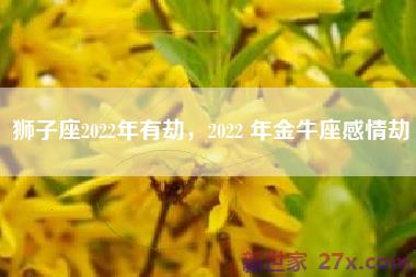 狮子座2022年有劫，2022 年金牛座感情劫