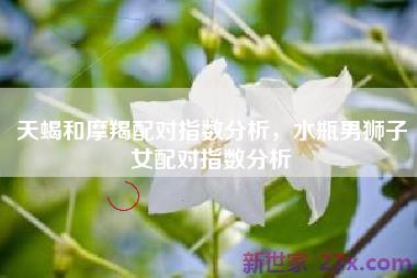 天蝎和摩羯配对指数分析，水瓶男狮子女配对指数分析