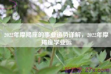 2022年摩羯座的事业运势详解，2022年摩羯座学业运