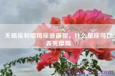 天蝎座和摩羯座谁最狠，什么星座可以弄死摩羯