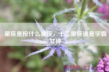 星座是按什么星座，十二星座谁是学霸女神