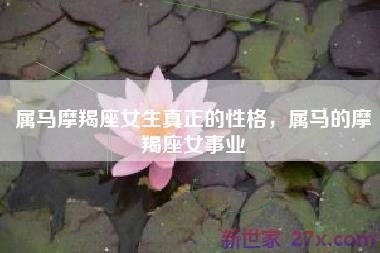 属马摩羯座女生真正的性格，属马的摩羯座女事业