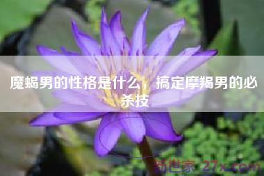 魔蝎男的性格是什么，搞定摩羯男的必杀技