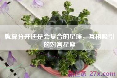 就算分开还是会复合的星座，互相吸引的对宫星座