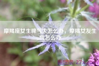 摩羯座女生脾气大怎么办，摩羯女友生气怎么办