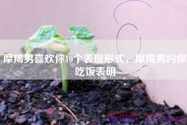 摩羯男喜欢你10个表现形式，摩羯男约你吃饭表明