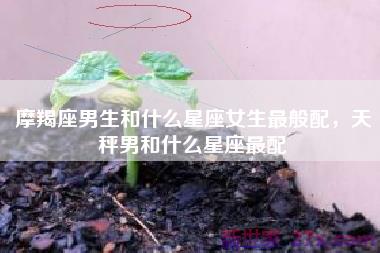 摩羯座男生和什么星座女生最般配，天秤男和什么星座最配