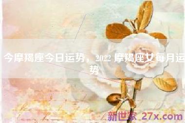 今摩羯座今日运势，2022 摩羯座女每月运势