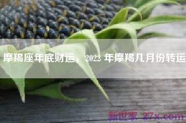 摩羯座年底财运，2022 年摩羯几月份转运