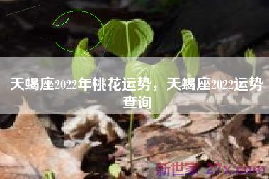 天蝎座2022年桃花运势，天蝎座2022运势查询