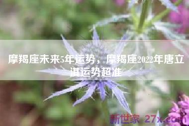 摩羯座未来5年运势，摩羯座2022年唐立淇运势超准