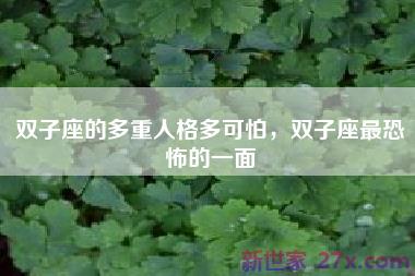 双子座的多重人格多可怕，双子座最恐怖的一面