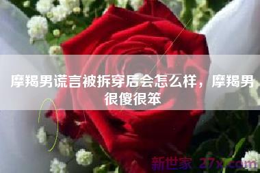 摩羯男谎言被拆穿后会怎么样，摩羯男很傻很笨