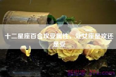 十二星座百合攻受属性，处女座是攻还是受