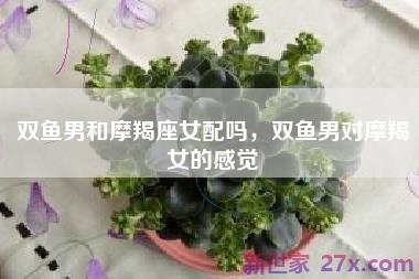 双鱼男和摩羯座女配吗，双鱼男对摩羯女的感觉