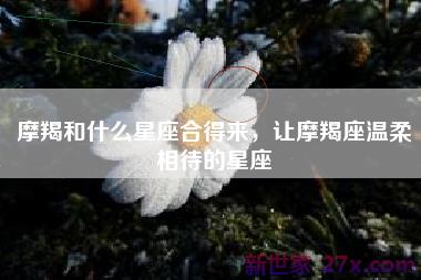 摩羯和什么星座合得来，让摩羯座温柔相待的星座