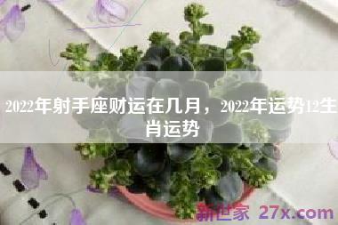 2022年射手座财运在几月，2022年运势12生肖运势