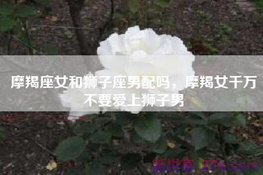 摩羯座女和狮子座男配吗，摩羯女千万不要爱上狮子男