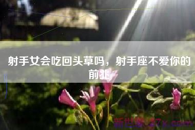 射手女会吃回头草吗，射手座不爱你的前兆