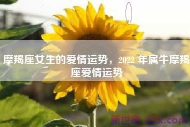 摩羯座女生的爱情运势，2022 年属牛摩羯座爱情运势