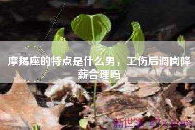 摩羯座的特点是什么男，工伤后调岗降薪合理吗