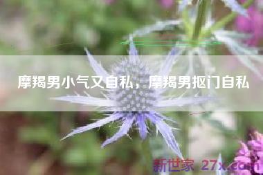 摩羯男小气又自私，摩羯男抠门自私