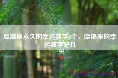 摩羯座永久的幸运数字6个，摩羯座的幸运数字是几